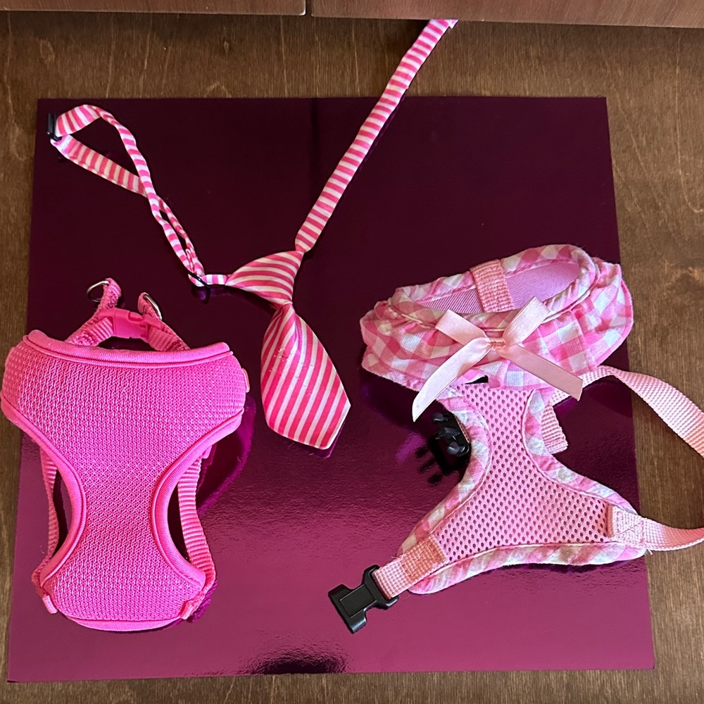 Pink Dog Harness and Leash Set